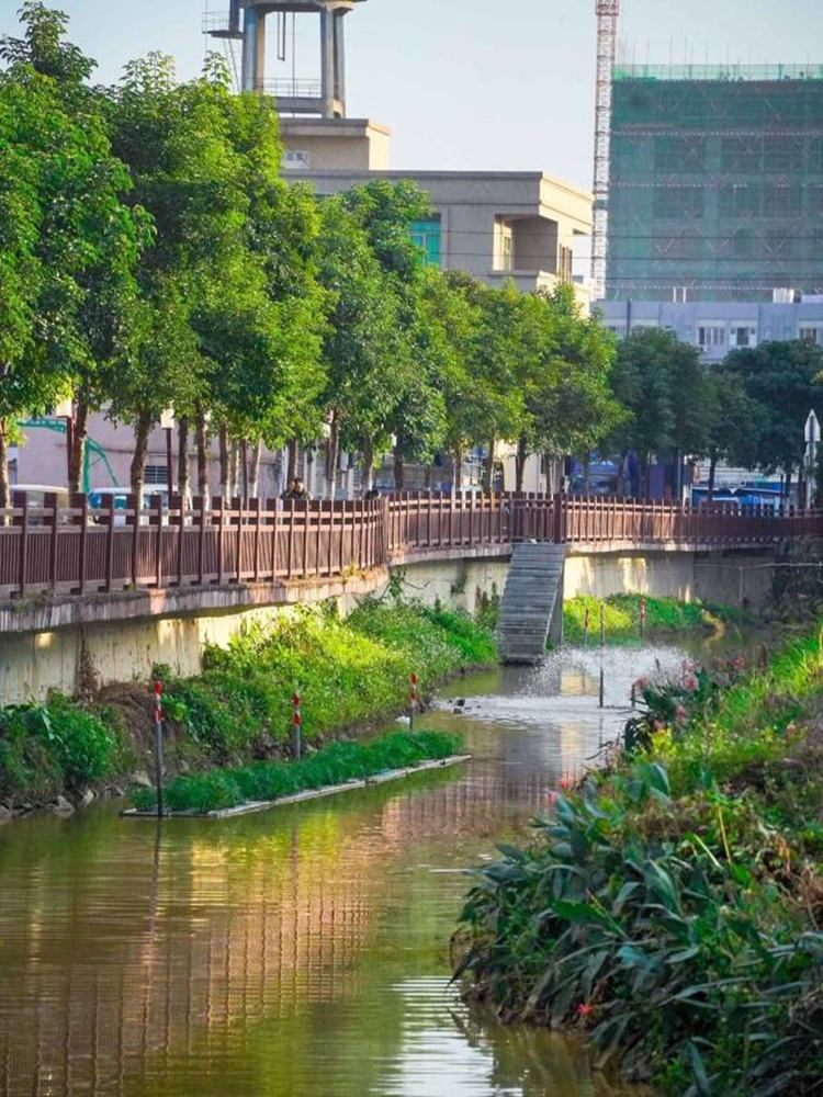 聚焦“百千万工程”：田寮村——童话小村“孵”出特色水产养殖新业态