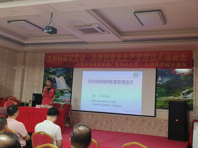 东莞开展荔枝产业链培训，为荔枝产业高质量发展添动力