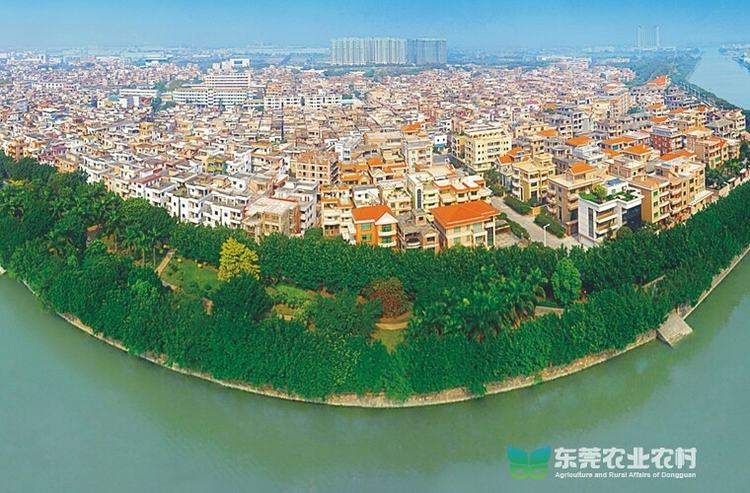 中堂潢涌“四轮驱动”向“百亿村”目标奋勇进军