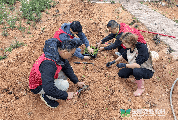市农技“轻骑兵”助力都市农业园奏响春耕序曲