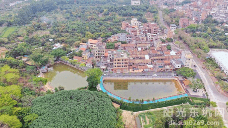 东坑坑美村“焕新升级”，勾勒和美乡村壮美画卷