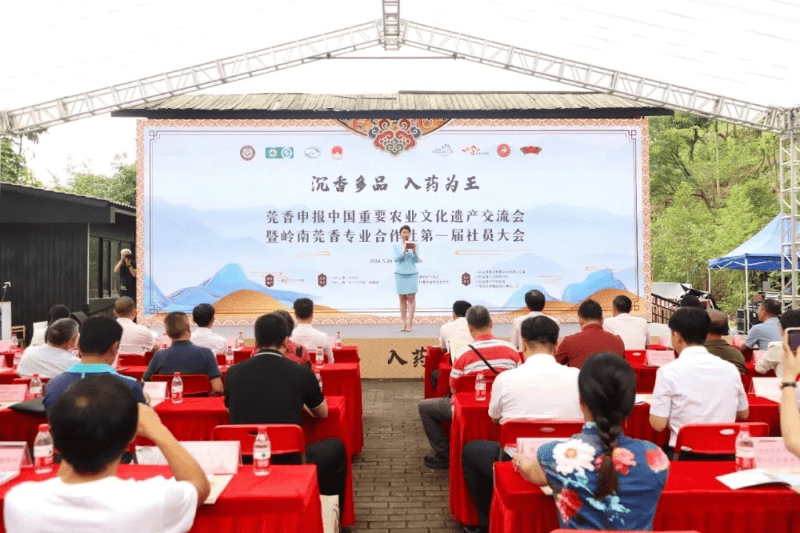 大岭山举办莞香盛典仪式 助力莞香产业发展