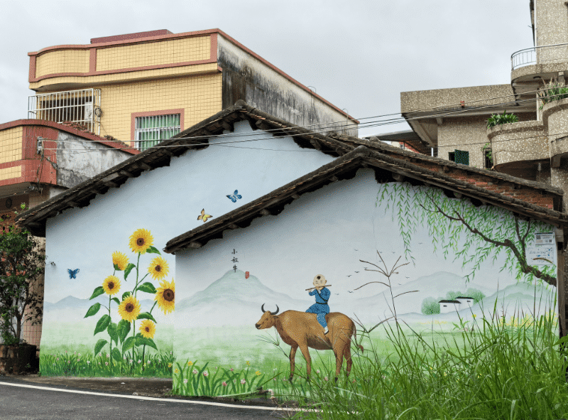 东坑坑美村：老旧村整治焕新颜，绘就乡村新画卷