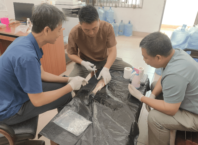 茶山开展水产品疫病监测抽样技术学习活动