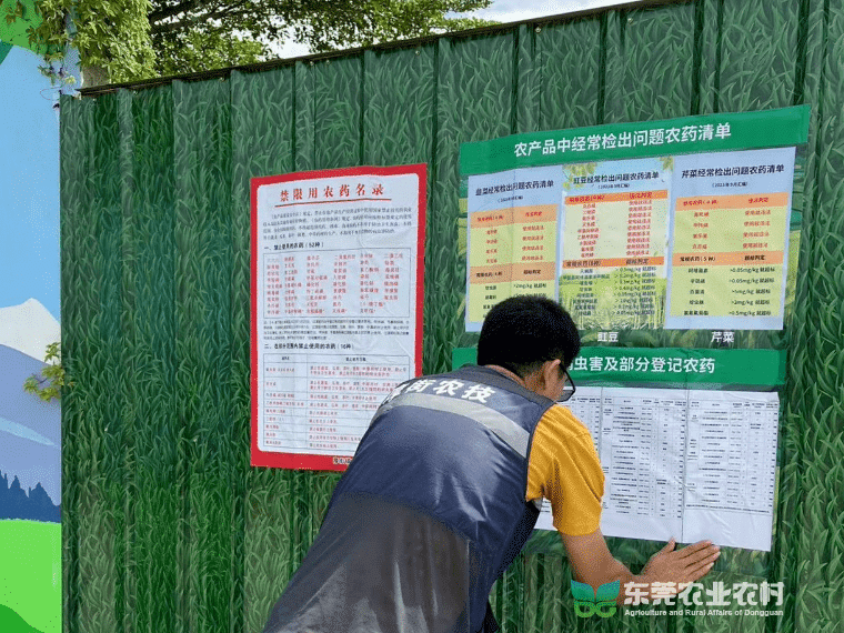 厚街强化水产品质量安全监管力度