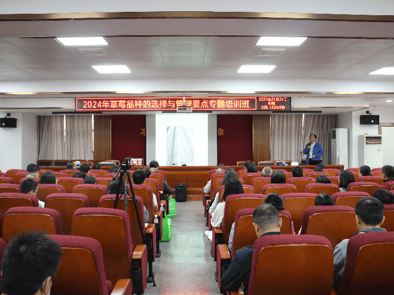 厚街成功举办“2024年草莓品种选择与管理要点专题培训班”