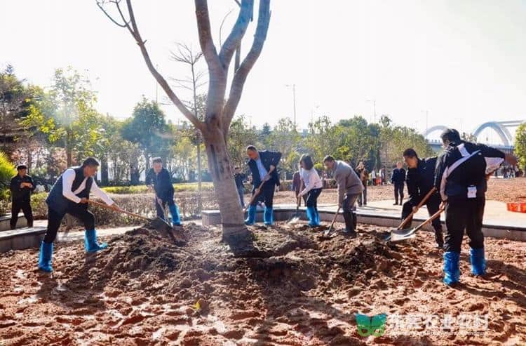 “绿”韵打底 “美”景为章，石龙绘就宜居新画卷