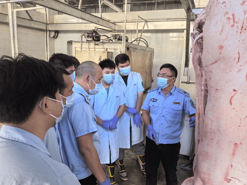 塘厦举办急宰生猪同步检疫实操培训活动