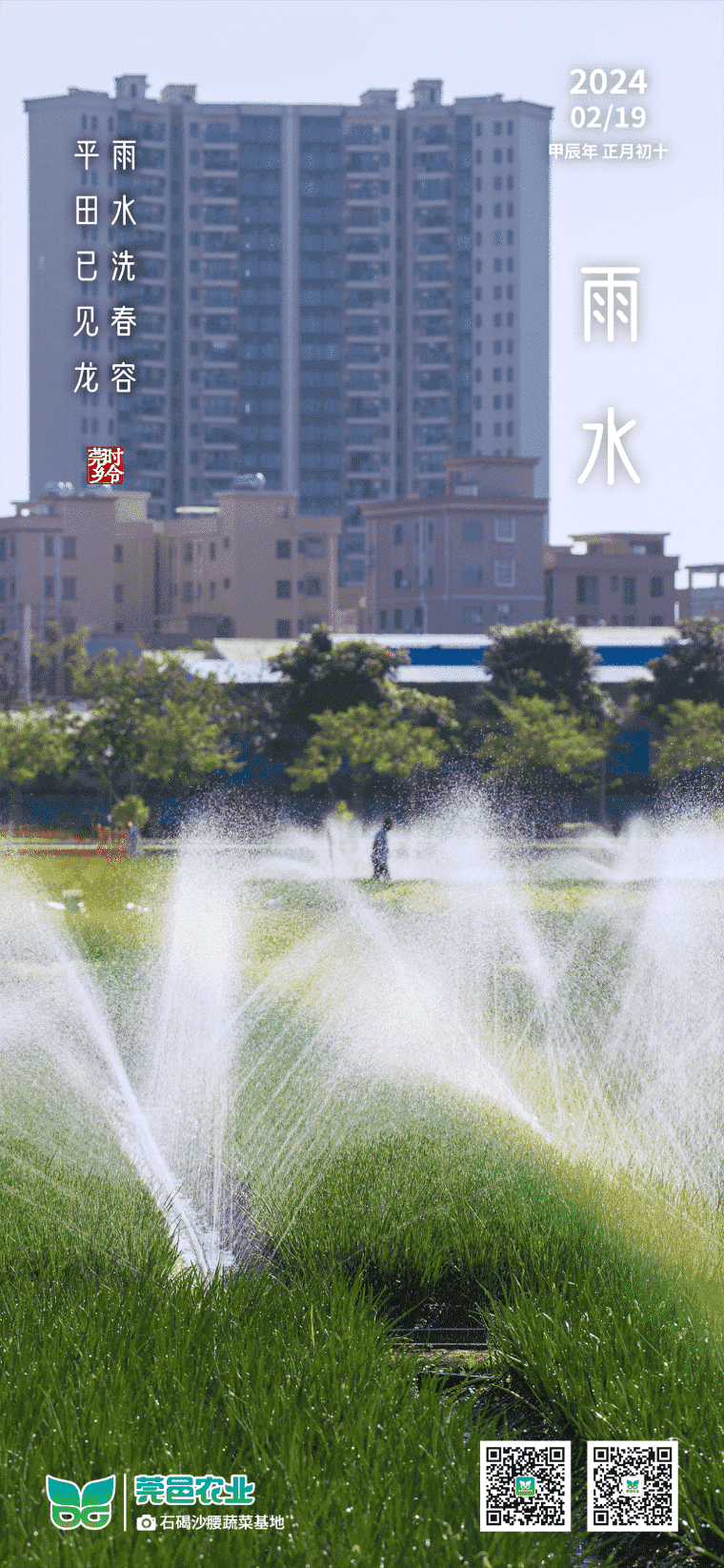 《雨水润春，平田潜龙初现》
