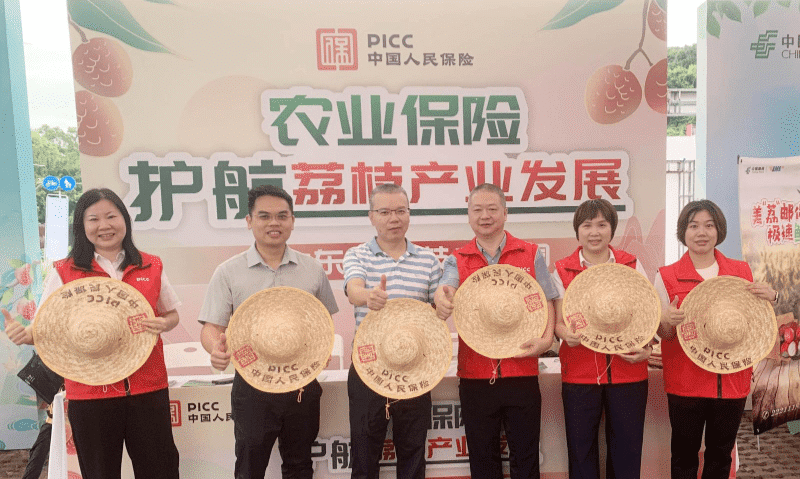 前9月提供5.2亿风险保障，东莞人保财险多举措助力乡村振兴
