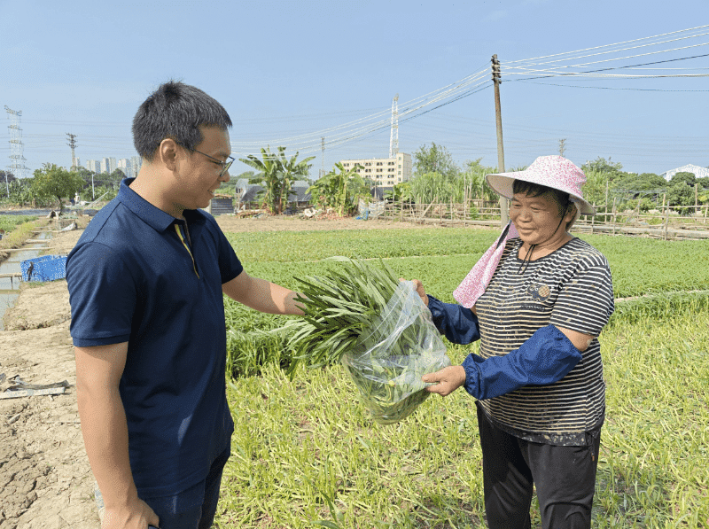 市镇携手开展农产品质量安全例行监测