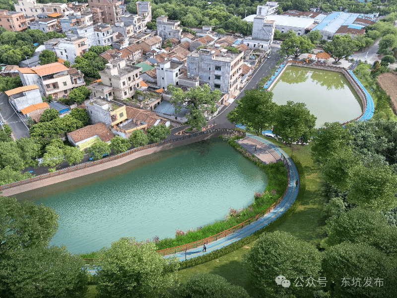 宜业宜居宜游！坑美村“颜值”飙升、活力满格