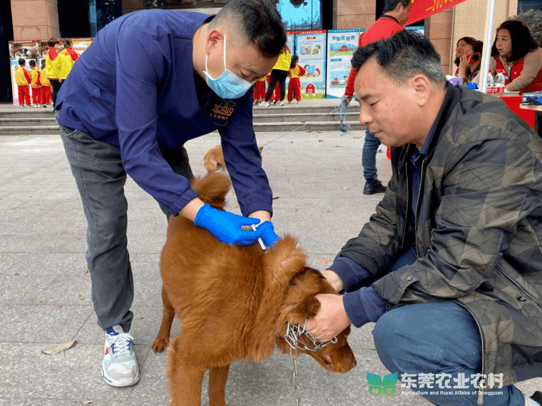 石龙举办人兽共患病防控科普宣传活动