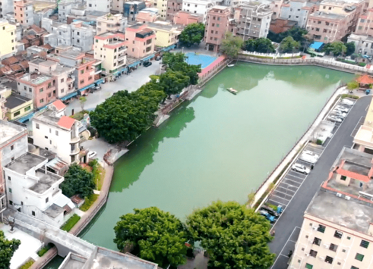 百千万工程下的洪梅新庄村：争分夺秒，绘就“宜居宜业富丽乡村”新图景