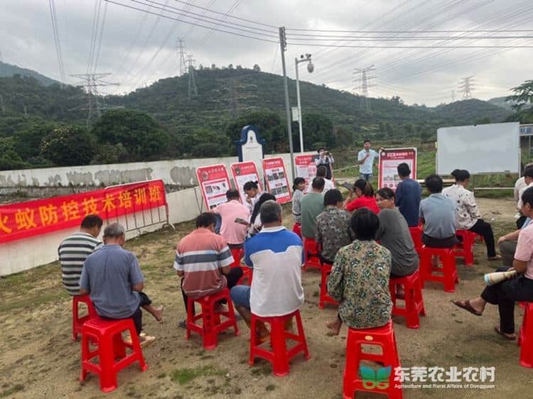 厚街开展2024年红火蚁防控技术培训与农产品质量安全宣讲会