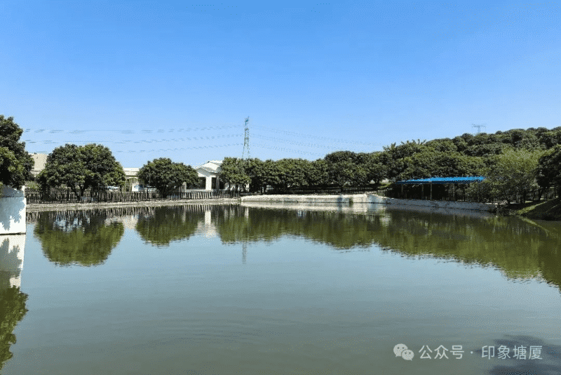 免费入园！绿美果园开启甜蜜邂逅之旅