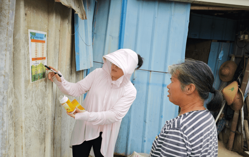 黄江：深入田间地头 强化豇豆质量安全监管
