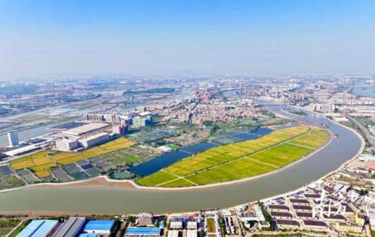 南方观察 | 世界工厂探寻新“稻”径