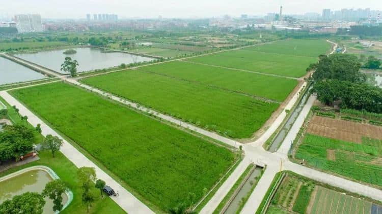 新春出游别错过！万江农业园邀您打卡