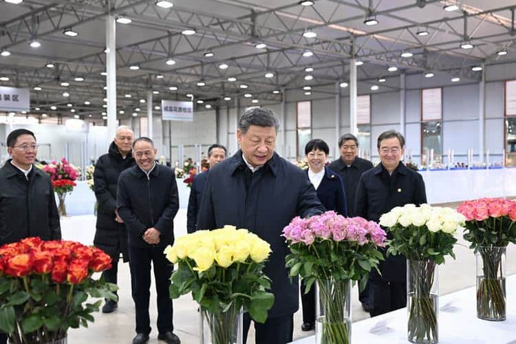习近平强调：解放思想、改革创新、奋发进取、真抓实干，在中国式现代化进程中开创云南发展新局面