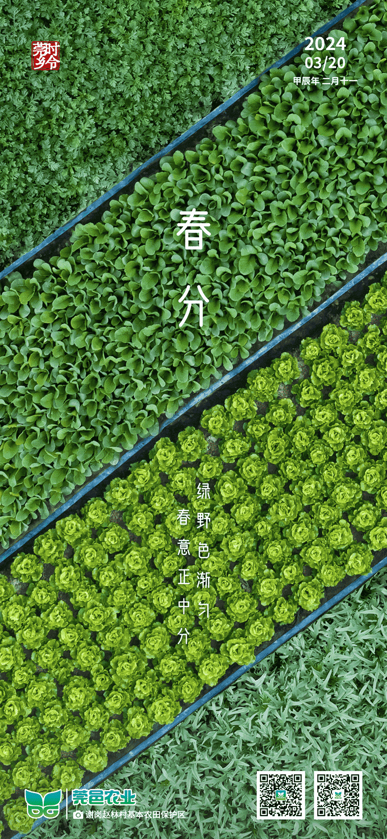 春分至，绿野匀色正平分春意