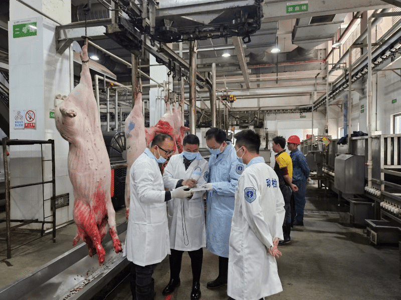 中堂强化节前屠宰监管，筑牢春节肉品供应安全防线