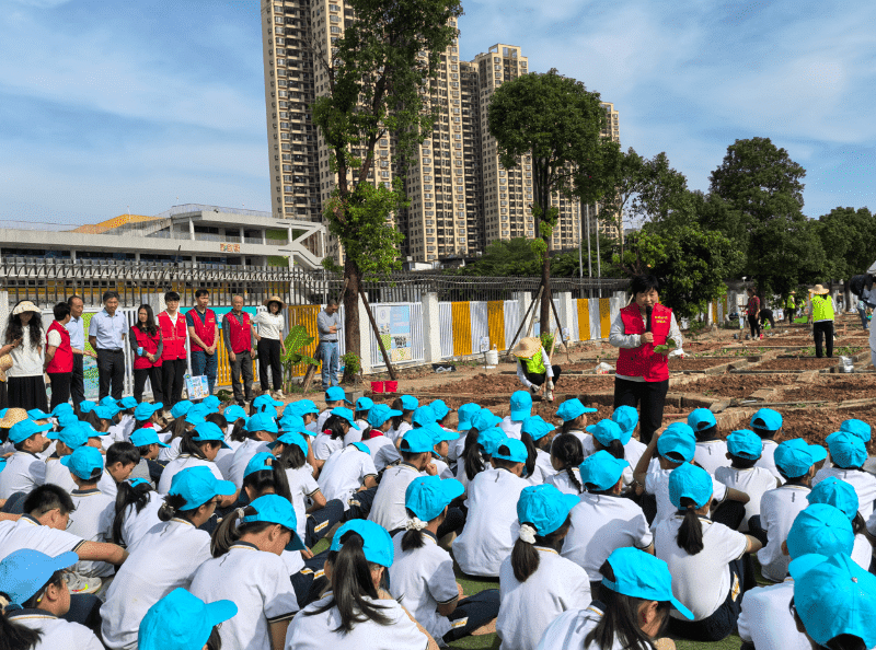 市镇两级“轻骑兵”联合助力，梅沙小学“慧耕园”秋季启耕