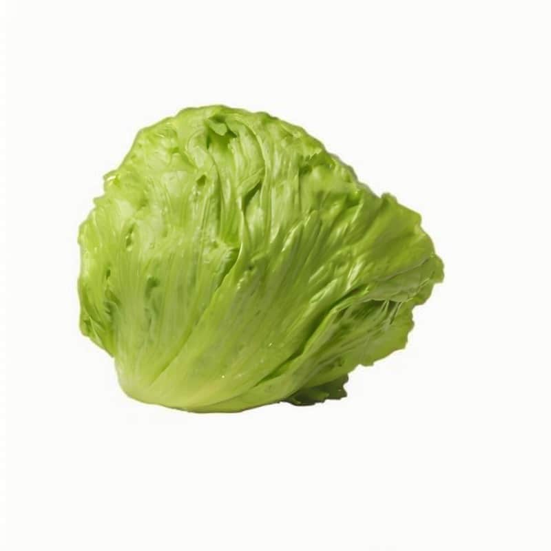 西生菜