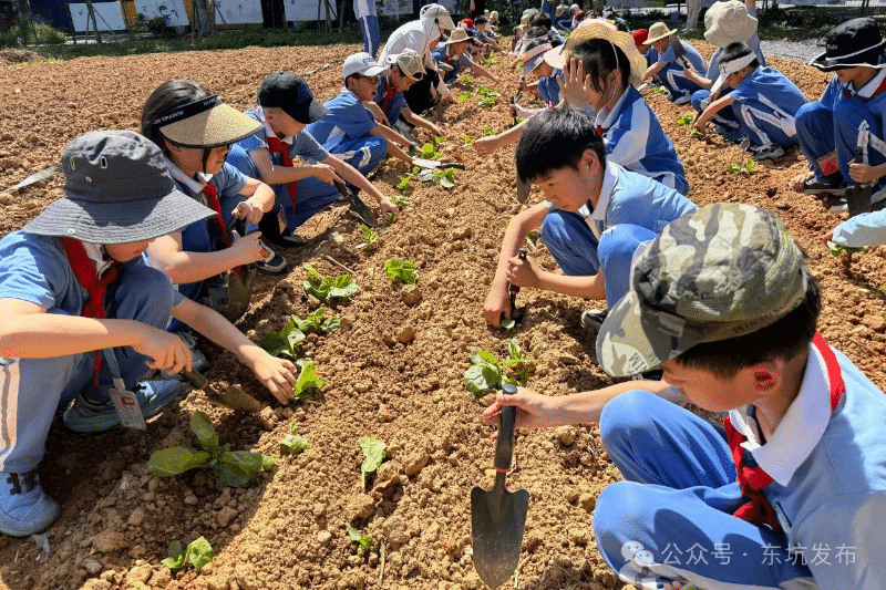 东坑萌娃春日“趣”农耕，自然课堂欢乐开讲！
