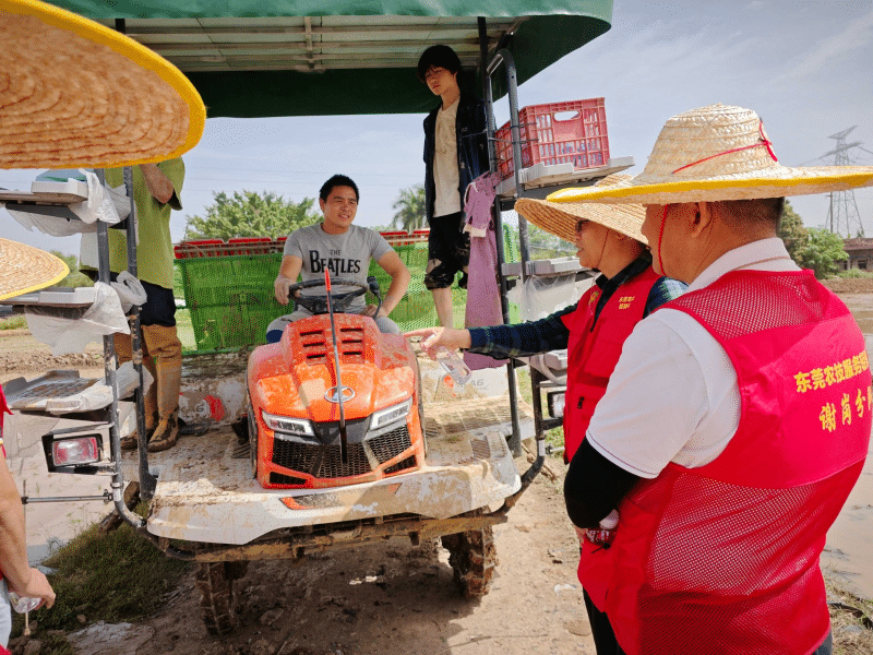 机械化插秧驱动农业转型，精准化服务护航春耕生产