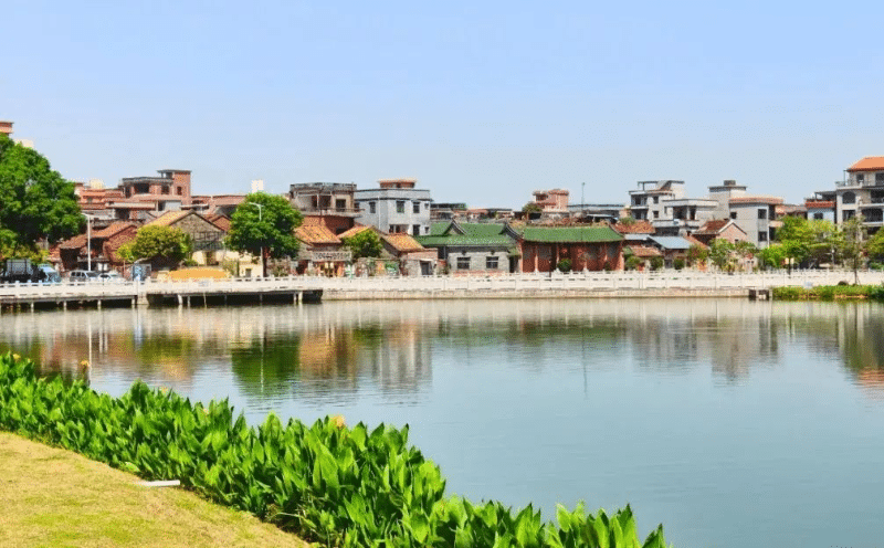 “百千万工程”三年初显成效，石碣水南村：水乡藏诗意，慢享烟火时光