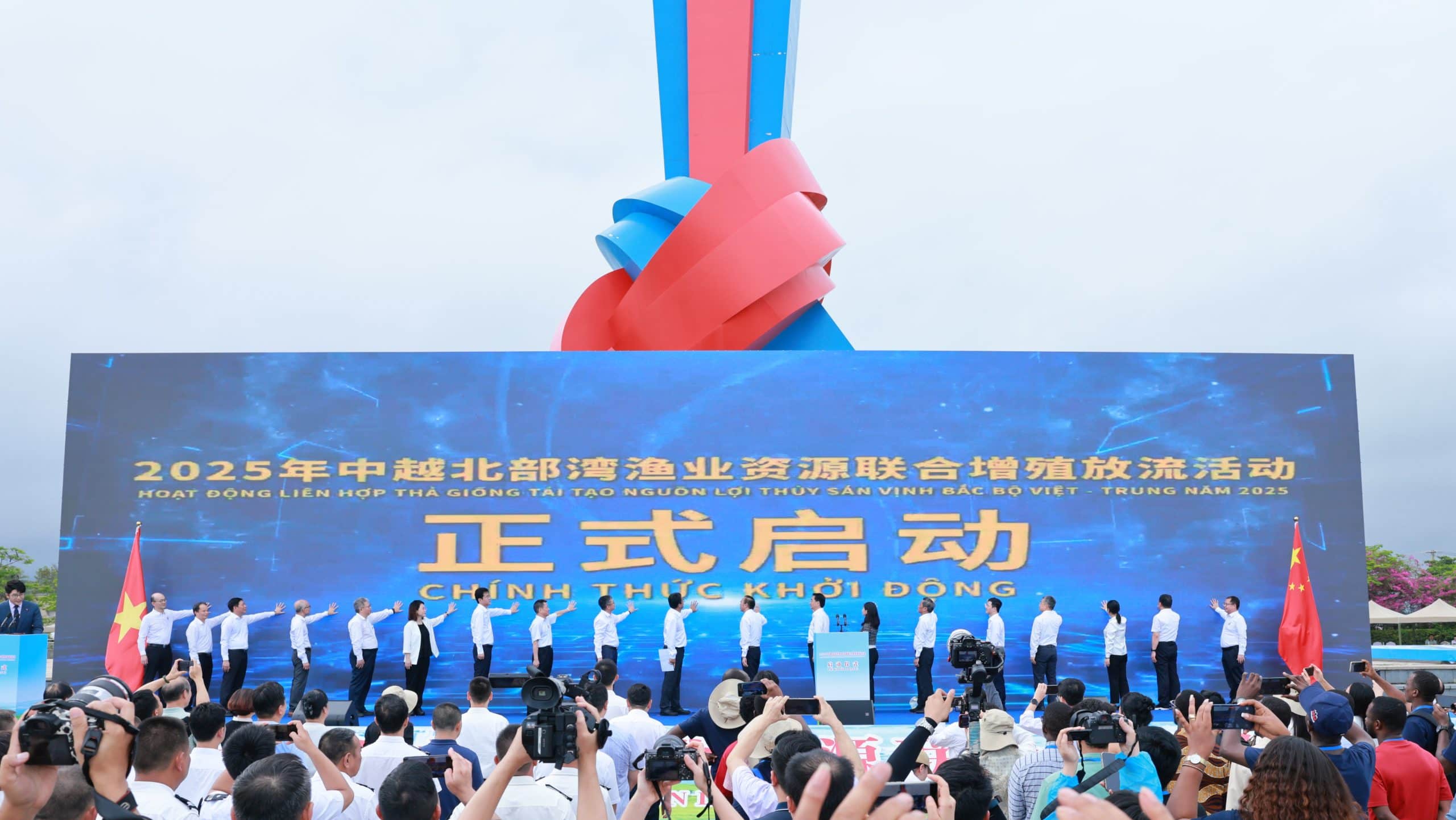 2025年中越携手开展北部湾渔业资源增殖放流活动