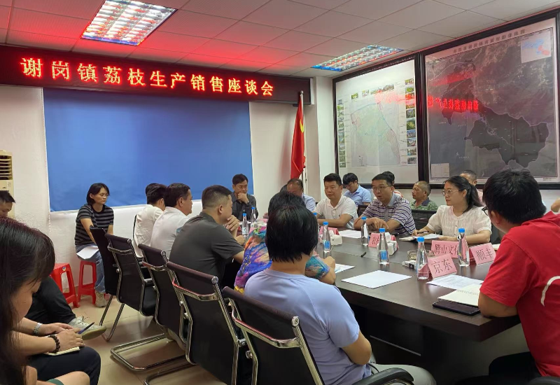 谢岗镇举办荔枝产销座谈会共商发展良策