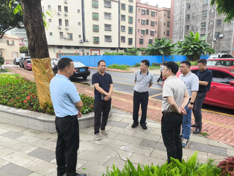 沙田聚焦水产养殖技术革新，筑牢水产品质量安全防线