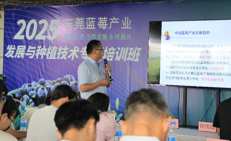 东莞成功举办蓝莓产业发展与种植技术专题培训班